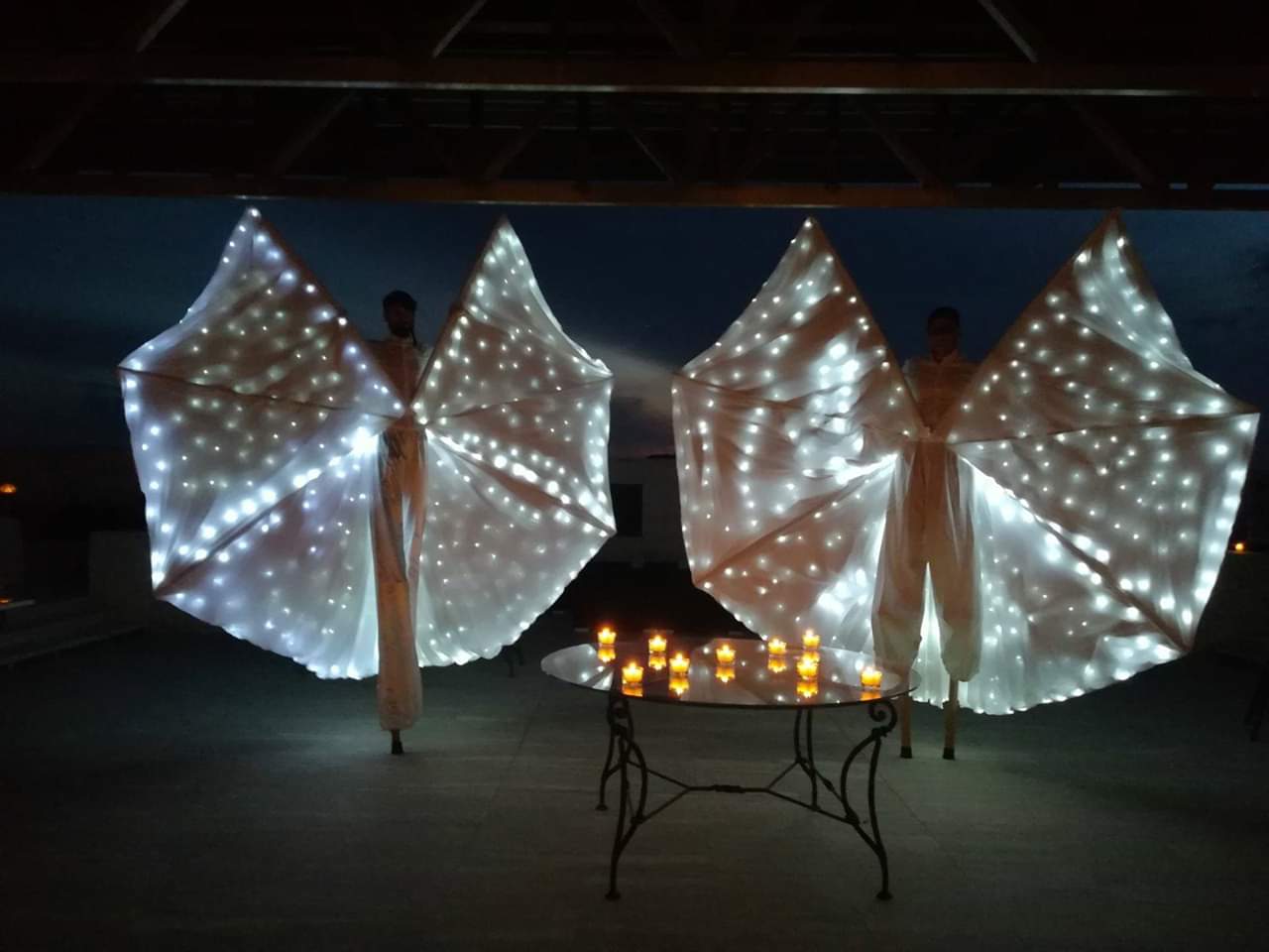 Trampoliere e Ali Luminose Animazione Madagascar